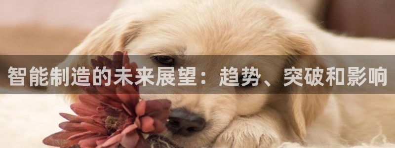 大发彩神最高邀请码：智能制造的未来展望：趋势、突破和影响