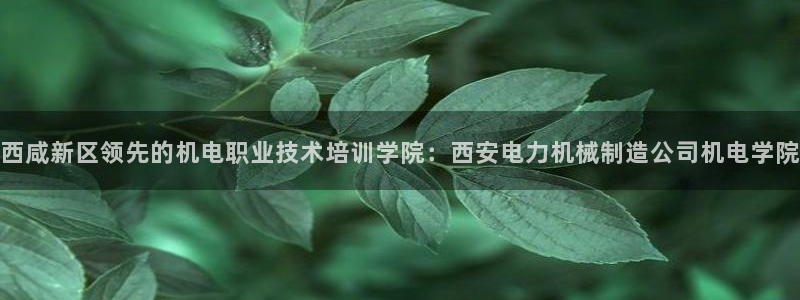 彩神网正规吗：西咸新区领先的机电职业技术培训学院：西安电力机械制造公司机电学院