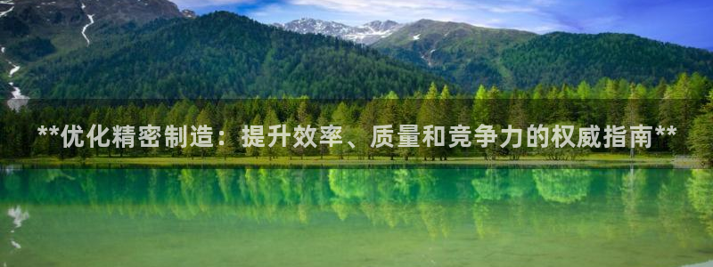 大发彩神官网下载：**优化精密制造：提升效率、质量和竞争力的权威指南**