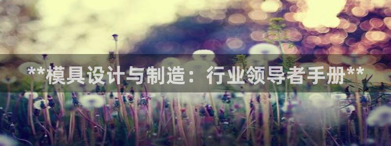 彩神天下专家专栏：**模具设计与制造：行业领导者手册**