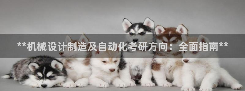彩神盈利图片：**机械设计制造及自动化考研方向：全面指南**