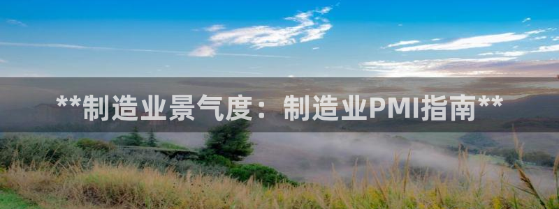 彩神8是正规平台吗是正品吗：**制造业景气度：制造业PMI指南**