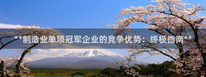 彩神vip购彩大厅下载：**制造业单项冠军企业的竞争优势：终极指南**