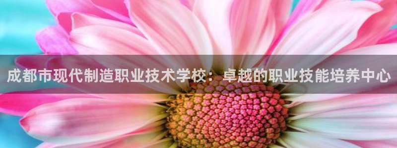 彩神v争霸是啥：成都市现代制造职业技术学校：卓越的职业技能培