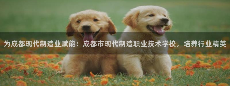下载彩神争霸谁与我争锋：为成都现代制造业赋能：成都市现代制造职业技术学校，培养行业精英