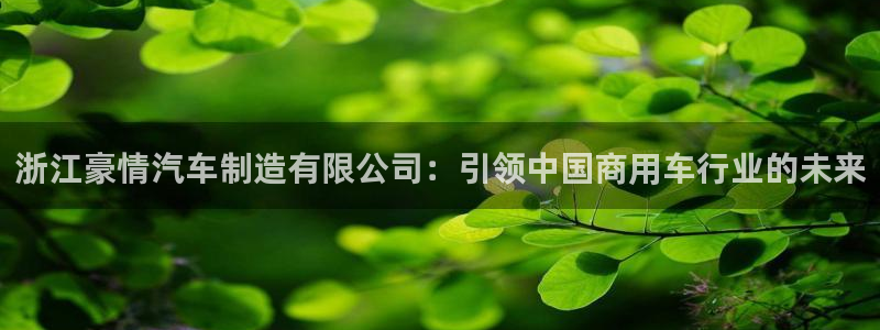 大发彩神官网下载：浙江豪情汽车制造有限公司：引领中国商用车行业的未来