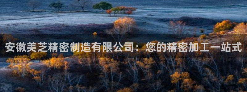 彩神赢钱了吗：安徽美芝精密制造有限公司：您的精密加工一站式