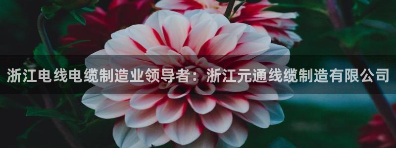 彩神大发三期计划网站：浙江电线电缆制造业领导者：浙江元通线缆制造有限公司