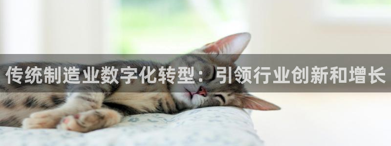 彩神v8下载app：传统制造业数字化转型：引领行业创新和增长