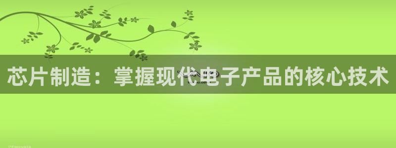 彩神怎么才能赢：芯片制造：掌握现代电子产品的核心技术