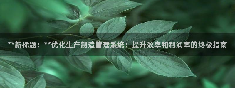 彩神VI首页：**新标题：**优化生产制造管理系统：提升效率和利润率的终极指南