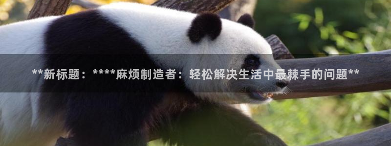 彩神网可以赚钱是真的吗：**新标题：****麻烦制造者：轻松解决生活中最棘手的问题**