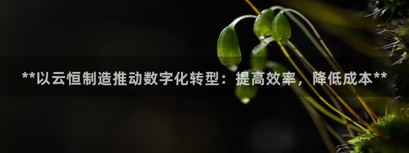彩神VII官方版：**以云恒制造推动数字化转型：提高效率，降低成本**