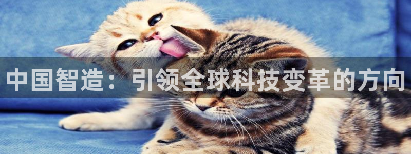 彩神vii购彩l心：中国智造：引领全球科技变革的方向