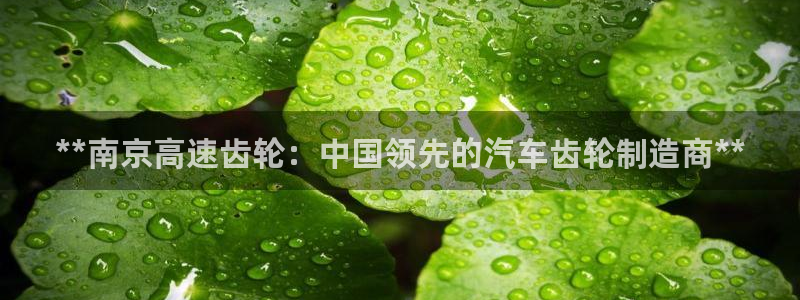 彩神赢的钱是哪里来的：**南京高速齿轮：中国领先的汽车齿轮制造商**
