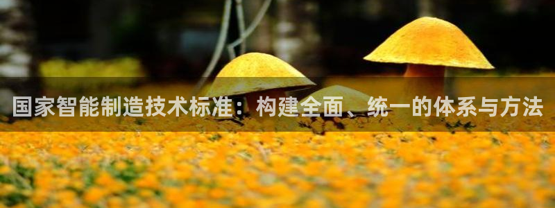 彩神是怎样一个平台：国家智能制造技术标准：构建全面、统一的体系与方法