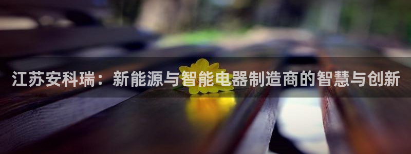 彩神xapp官方网站：江苏安科瑞：新能源与智能电器制造商的智慧与创新