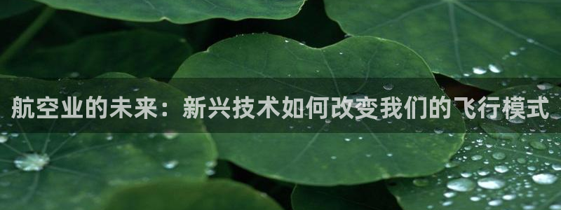 彩神ⅴll是什么样平台：航空业的未来：新兴技术如何改变我们的飞行模式