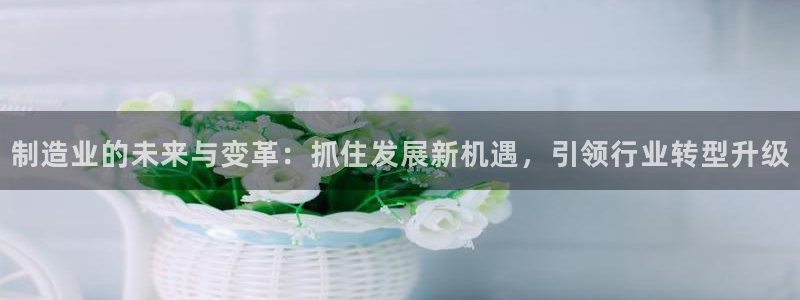 彩神ios下载：制造业的未来与变革：抓住发展新机遇，引领行业