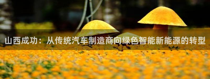 彩神vl购彩大厅：山西成功：从传统汽车制造商向绿色智能新能源的转型