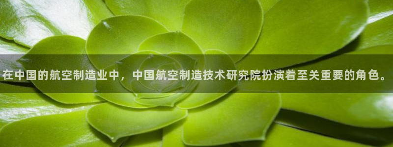 彩神平台注册登录：在中国的航空制造业中，中国航空制造技术研究