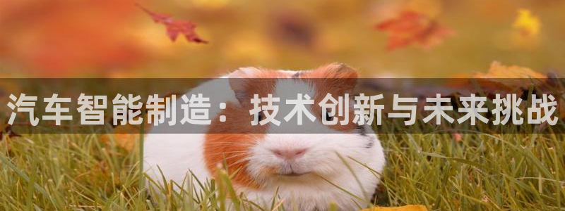 彩神是正规平台吗知乎：汽车智能制造：技术创新与未来挑战