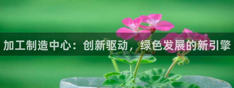 彩神天下专家专栏：加工制造中心：创新驱动，绿色发展的新引擎