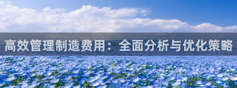 彩神 好 平台：高效管理制造费用：全面分析与优化策略