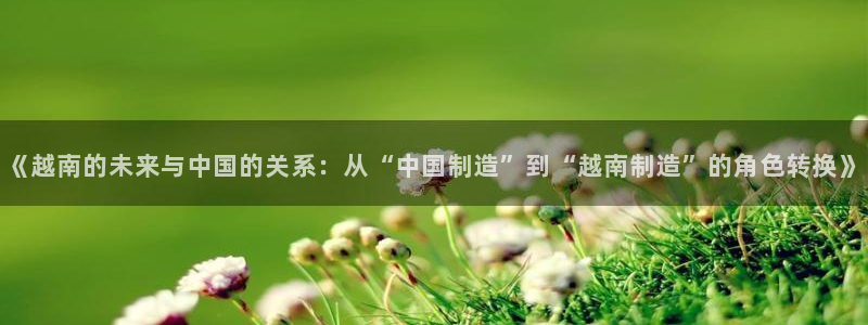 彩神v8购彩大厅登：《越南的未来与中国的关系：从“中国制造”到“越南制造”的角色转换》