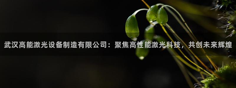 彩神VII购彩中心：武汉高能激光设备制造有限公司：聚焦高性能激光科技，共创未来辉煌