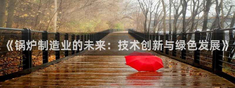 彩神8官网版：《锅炉制造业的未来：技术创新与绿色发展》