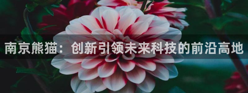 所有彩神购买首页都一样吗：南京熊猫：创新引领未来科技的前沿高地