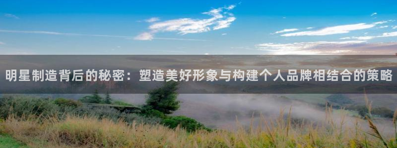彩神的邀请码是多少：明星制造背后的秘密：塑造美好形象与构建个人品牌相结合的策略