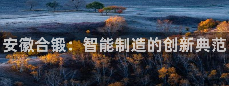 彩神v彩搜狗：安徽合锻：智能制造的创新典范