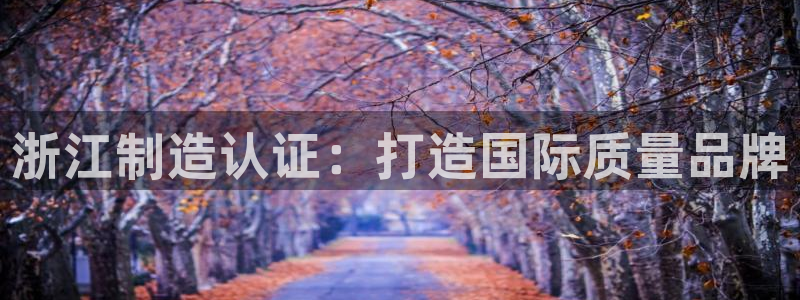 彩神V购彩大厅：浙江制造认证：打造国际质量品牌