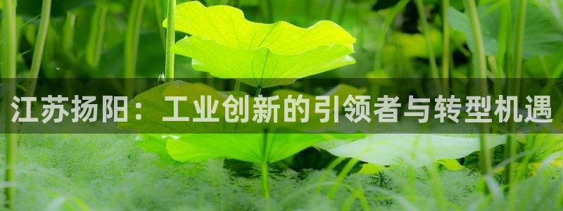 彩神vlll官方网