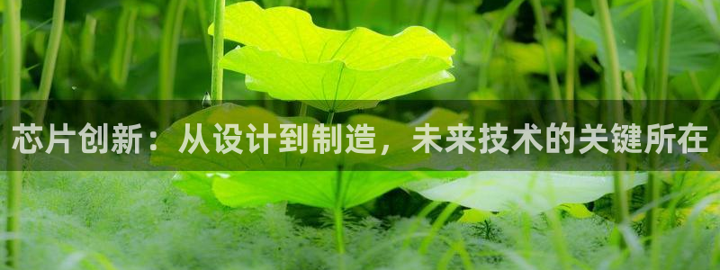 彩神app赚钱是真是假