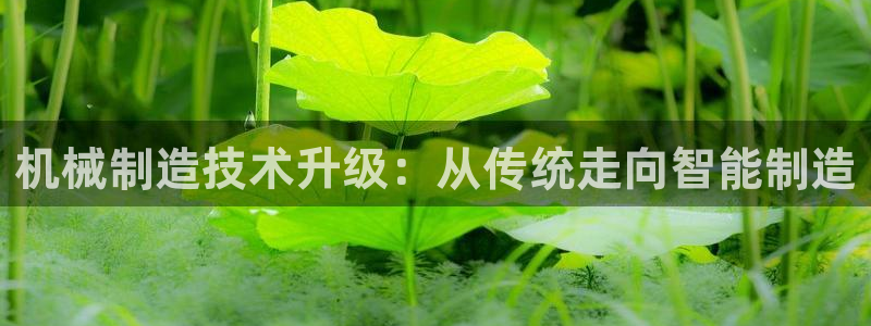 彩神购彩-购彩大厅入口老版