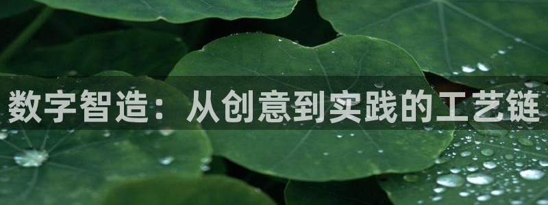 彩神ios下载：数字智造：从创意到实践的工艺链