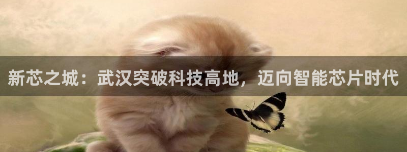 彩神v8手机客户端在哪：新芯之城：武汉突破科技高地，迈向智能