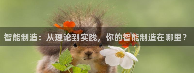 彩神争霸官网登录平台：智能制造：从理论到实践，你的智能制造在