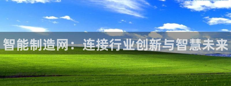 彩神V集团公司：智能制造网：连接行业创新与智慧未来