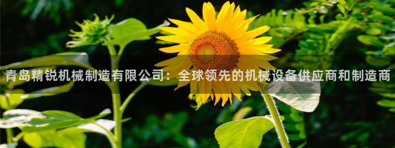 彩神v8手机客户端下载