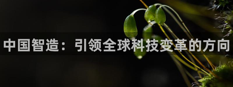 彩神v彩搜狗：中国智造：引领全球科技变革的方向