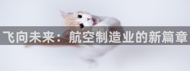 有谁知道彩神争霸的网址：飞向未来：航空制造业的新篇章
