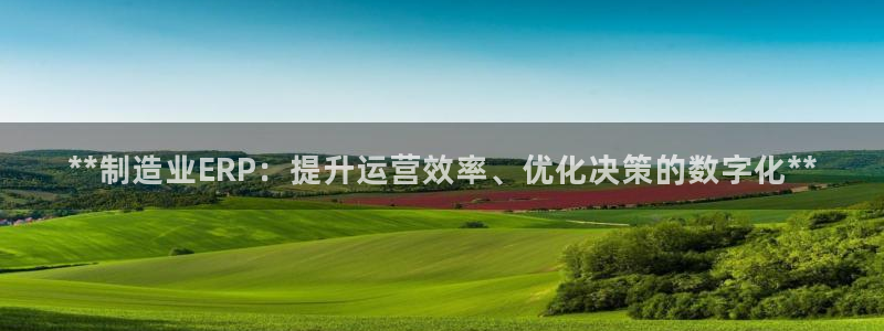 彩神v8下载网址：**制造业ERP：提升运营效率、优化决策的