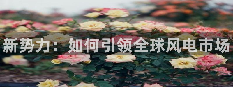 彩神vlll(中国)百度百科