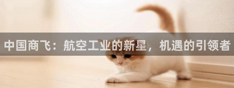彩神vl官网：中国商飞：航空工业的新星，机遇的引领者