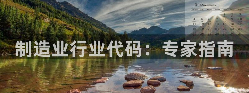 下载彩神v8：制造业行业代码：专家指南