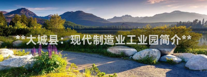 彩神x平台靠什么盈利：**大城县：现代制造业工业园简介**